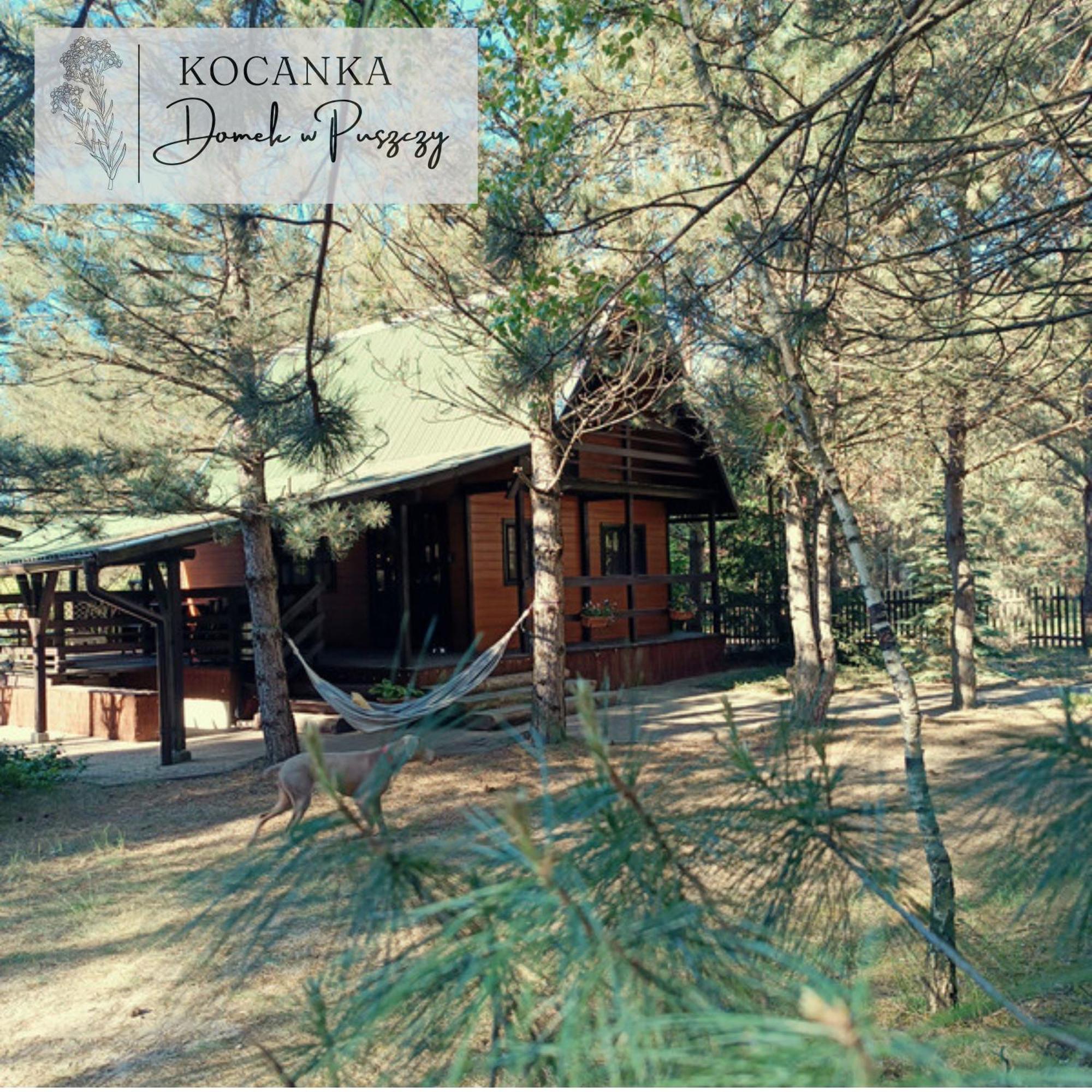 Domek W Puszczy ,,Kocanka" Mezyk Dış mekan fotoğraf